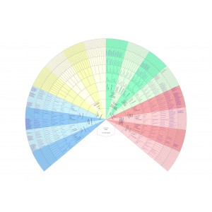 Arbre éventail 10 générations