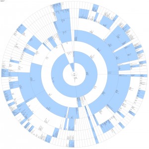 Roue de descendance damier 8 générations