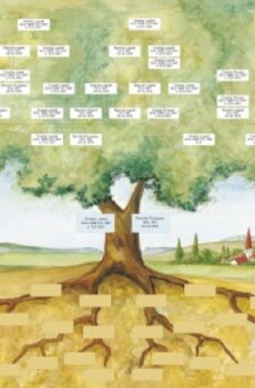 L'arbre de ma famille